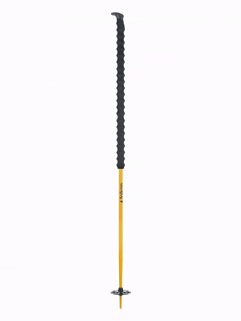 Wyeast Ski Poles