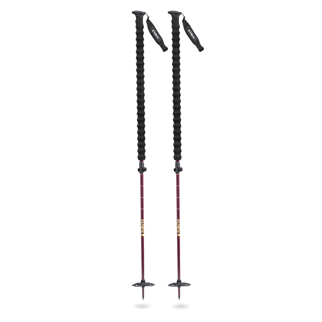 Pahto Ski Poles
