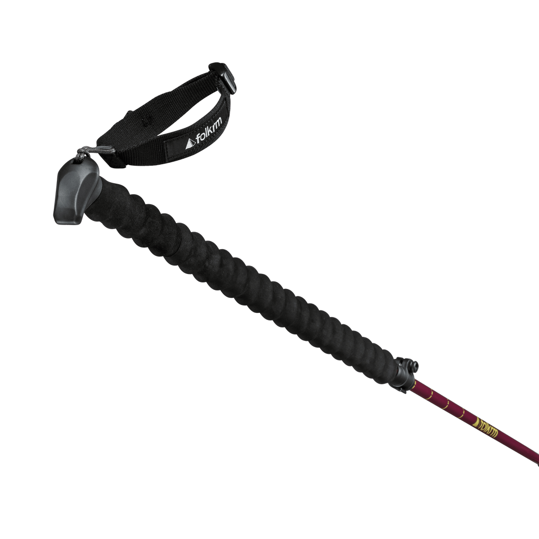 Pahto Ski Poles