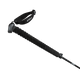 Pahto Ski Poles