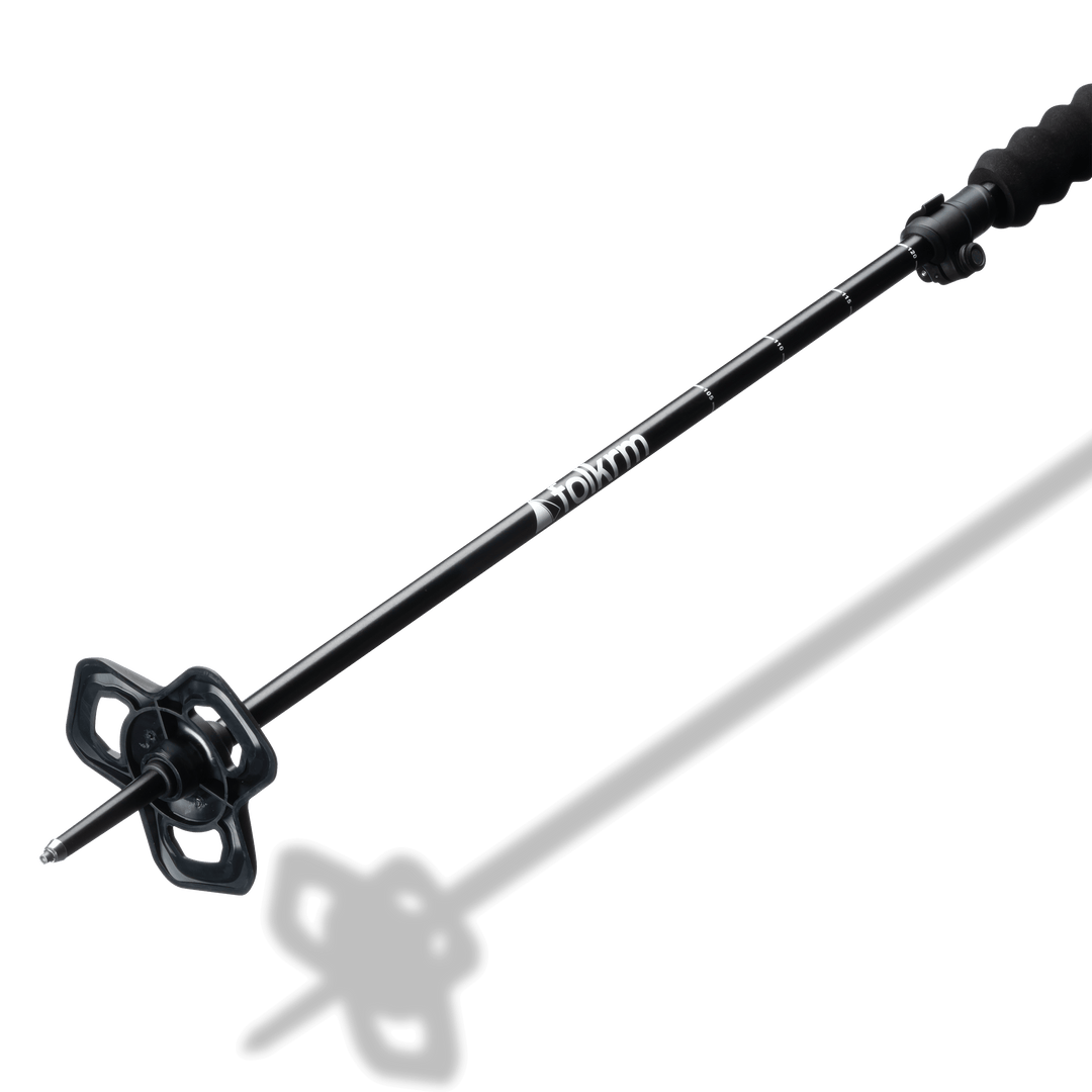 Pahto Ski Poles