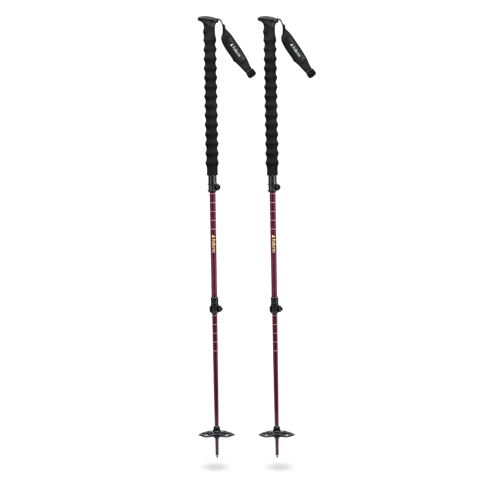 Tahoma Splitboard Poles