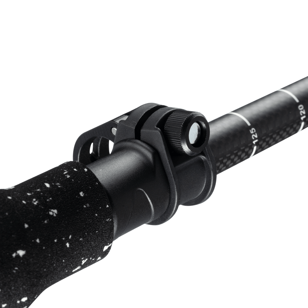 Tahoma Splitboard Poles Carbon