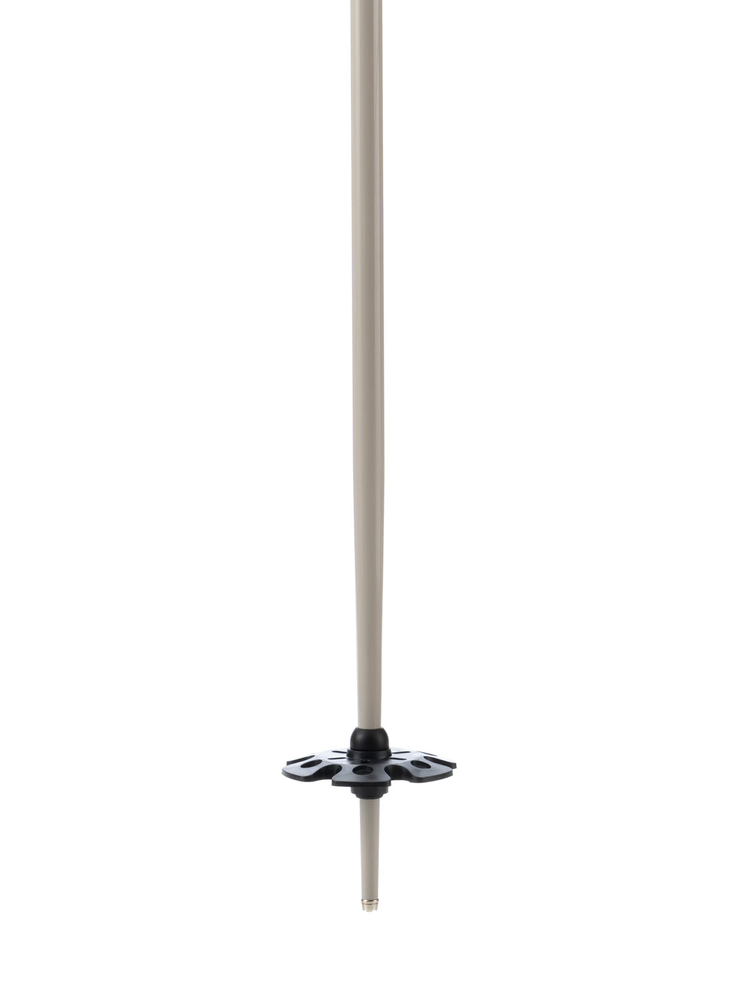 Wyeast Ski Poles