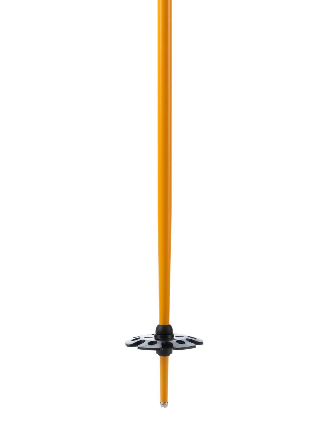 Wyeast Ski Poles