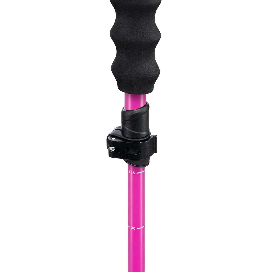 Pahto Ski Poles (Copy)