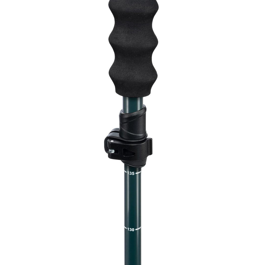 Pahto Ski Poles (Copy)